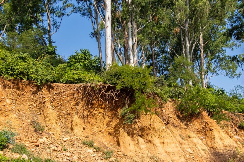 Erosion Prevention Solutions
